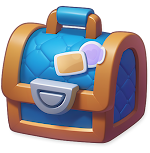 Designer Chest
